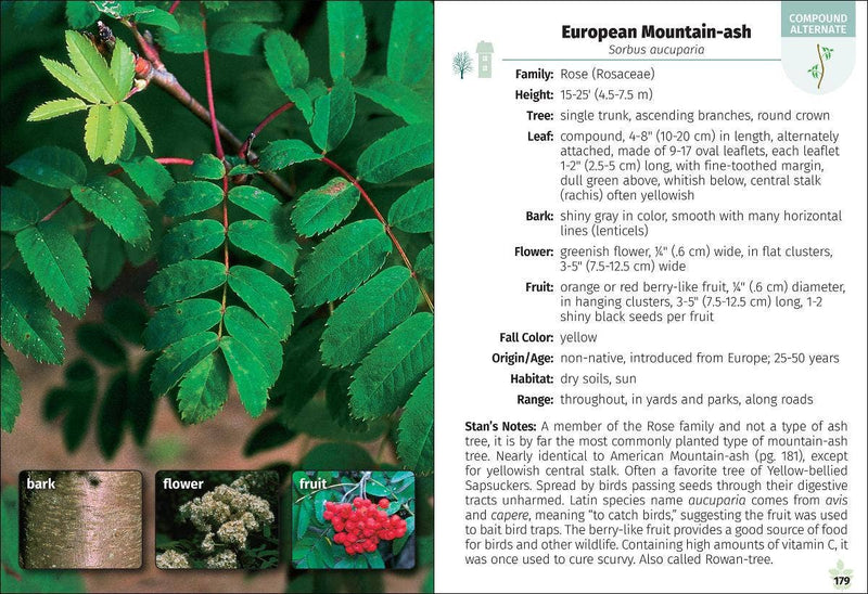 Trees of Michigan Field Guide 2e