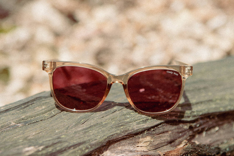CAMP Cove Sunglasses - Smokey Bear