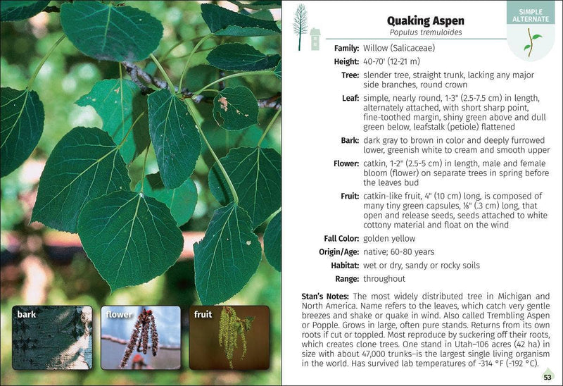 Trees of Michigan Field Guide 2e