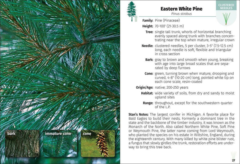 Trees of Michigan Field Guide 2e