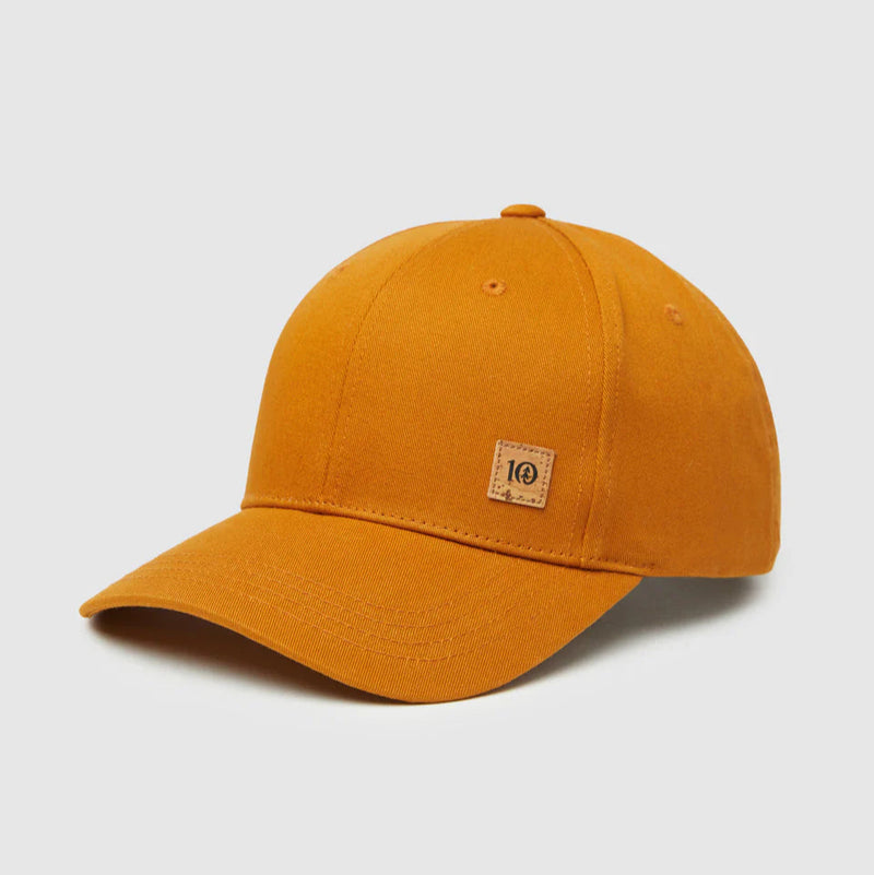 tentree - Cork Icon Elevation Hat
