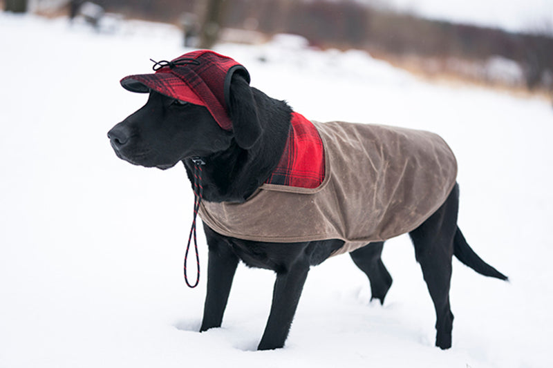 Stormy Kromer - The SK Waxed Cotton Dog Jacket