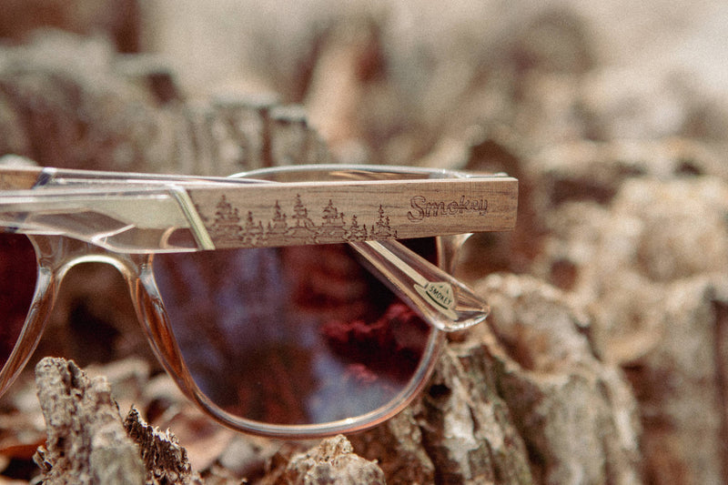 CAMP Cove Sunglasses - Smokey Bear