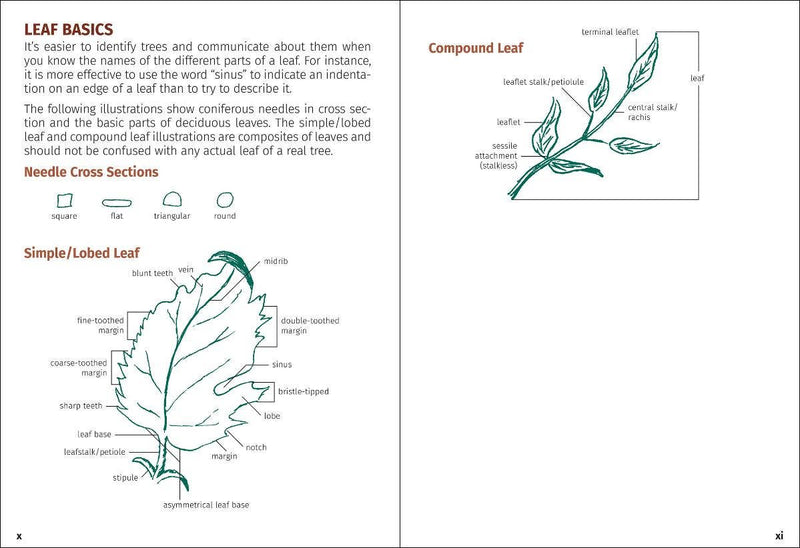 Trees of Michigan Field Guide 2e