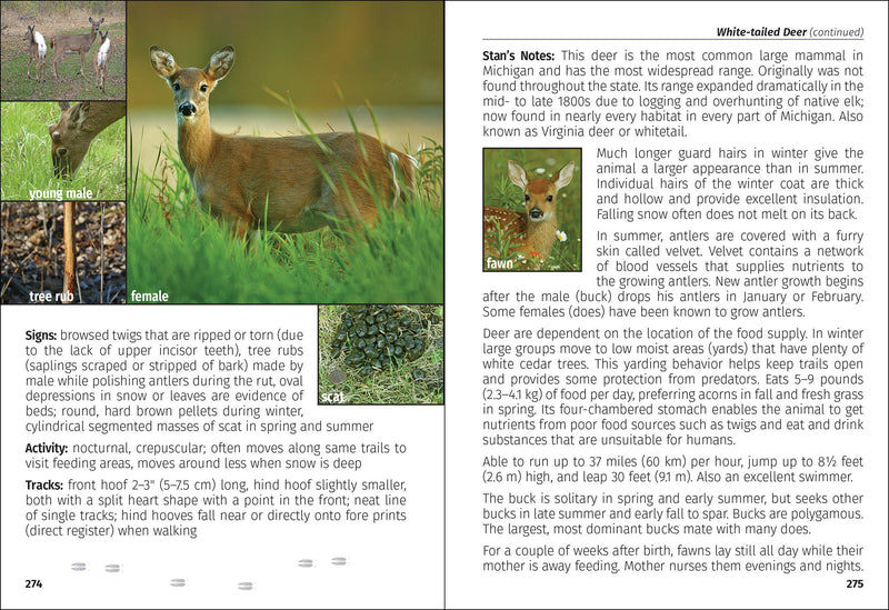 Mammals of Michigan Field Guide, 2nd Ed.